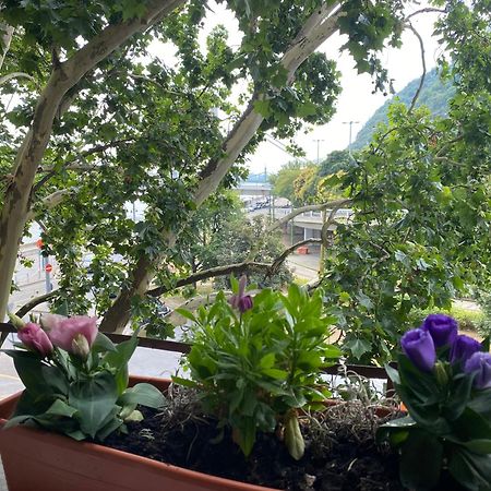 Major Apartman Budapeszt Zewnętrze zdjęcie